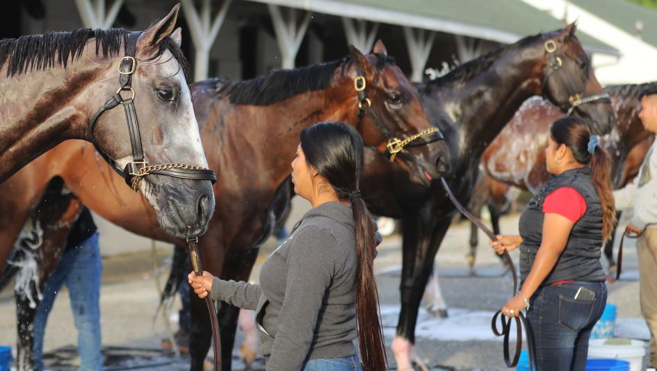 Tapit Trice Kingsbarns Forte Kentucky Derby Churchill Downs Todd Pletcher